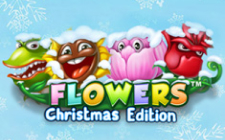 Игровой автомат Flowers Christmas